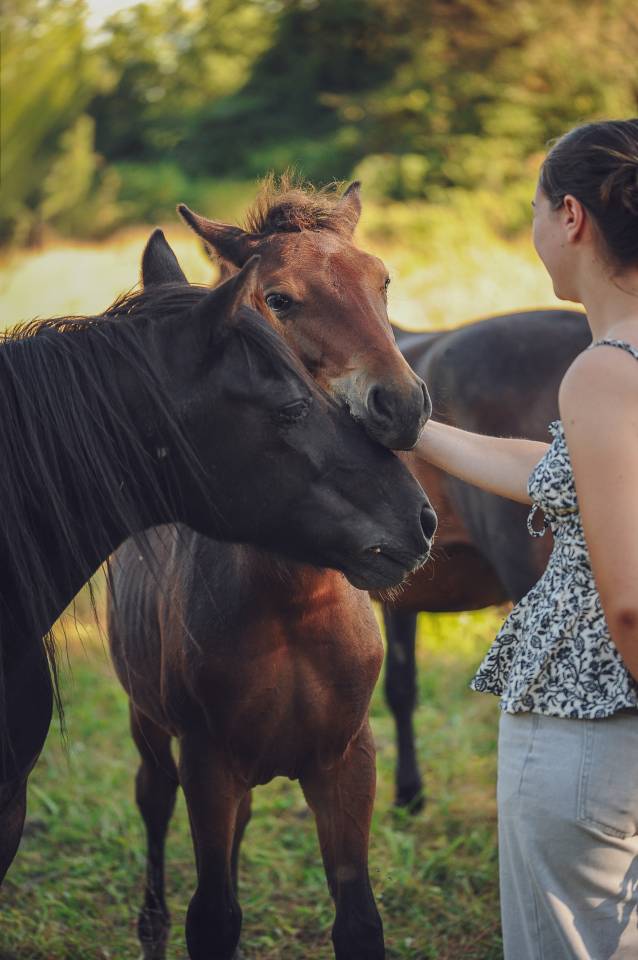 Poulain 2025 par Boxoffice du pena