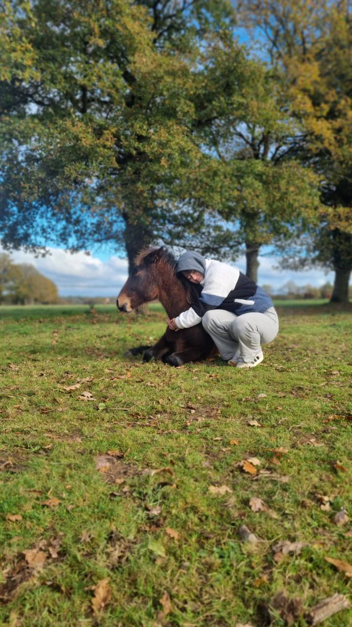 Poulain 2025 par Boxoffice du pena