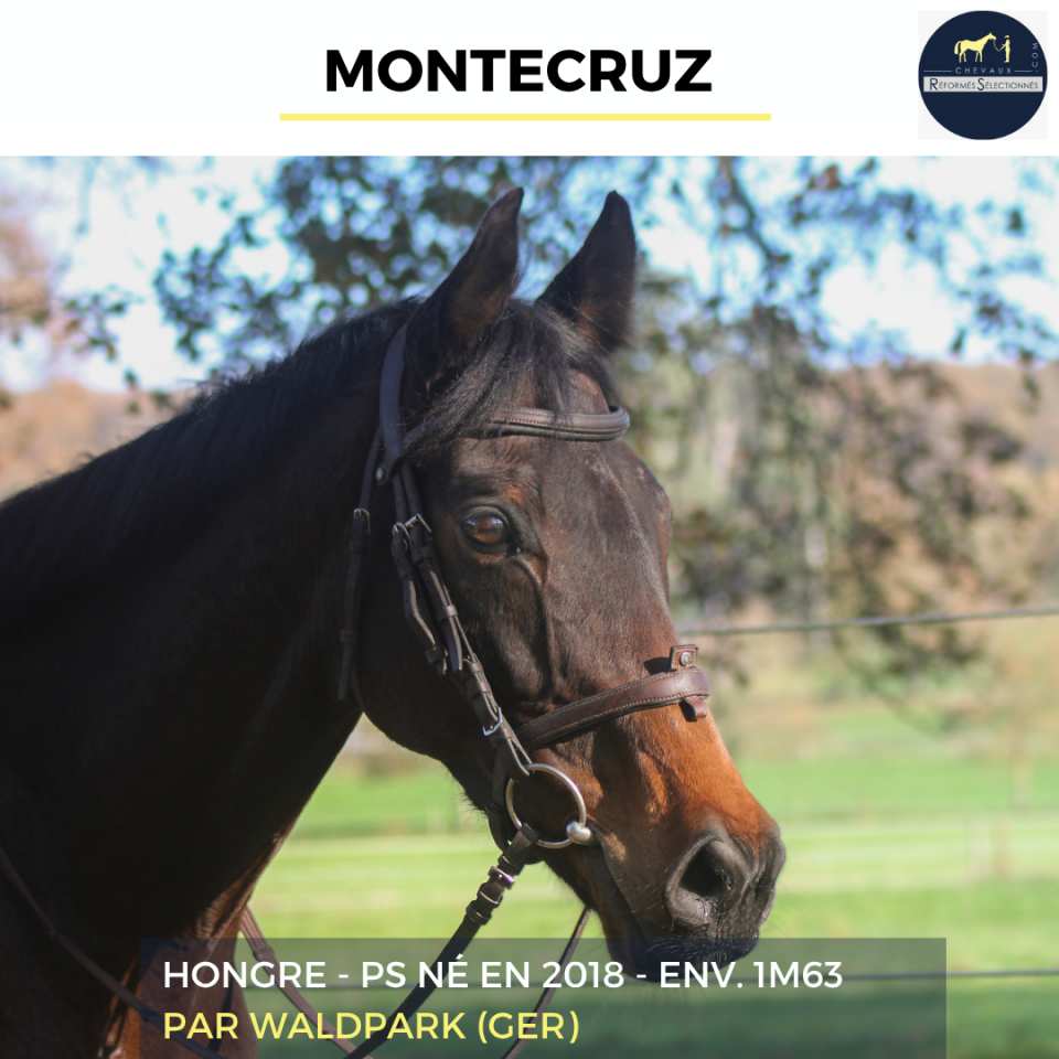 MONTECRUZ - PS - 7 ANS