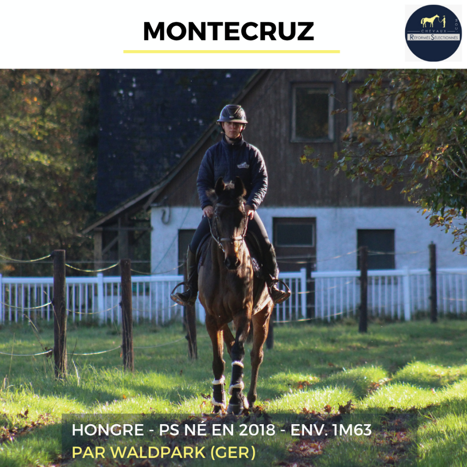 MONTECRUZ - PS - 7 ANS