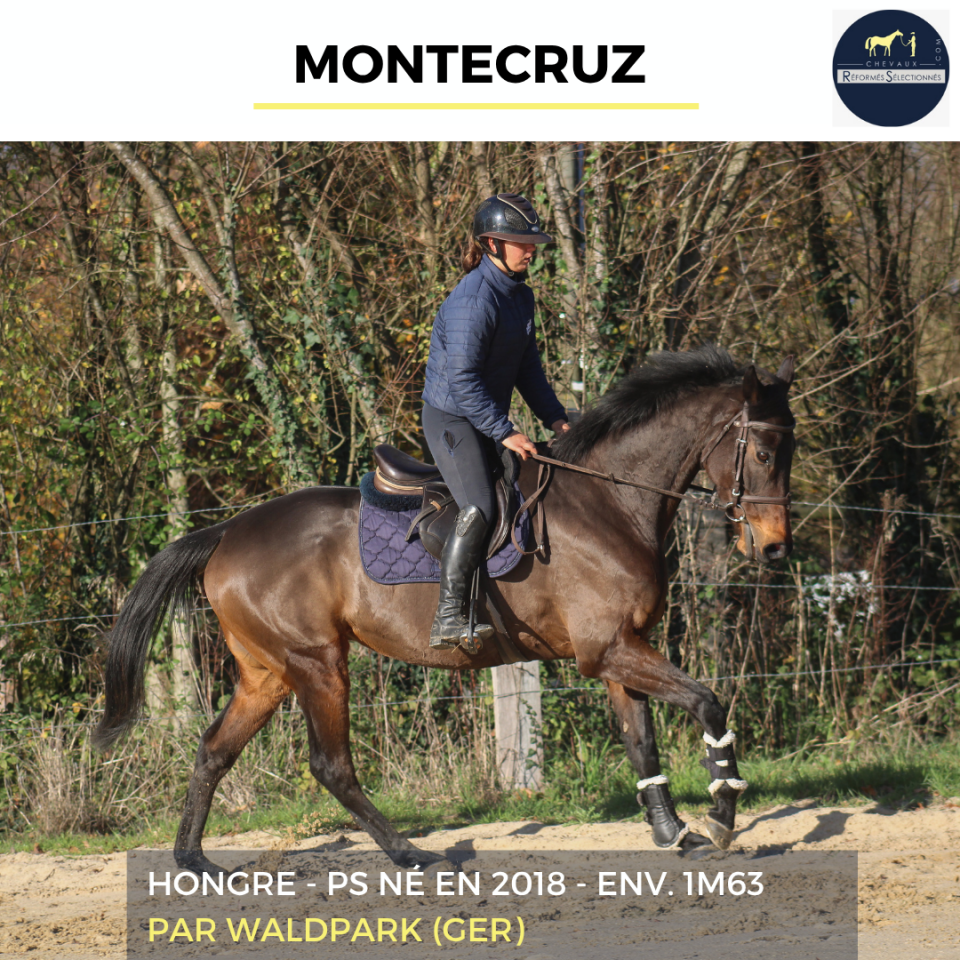 MONTECRUZ - PS - 7 ANS