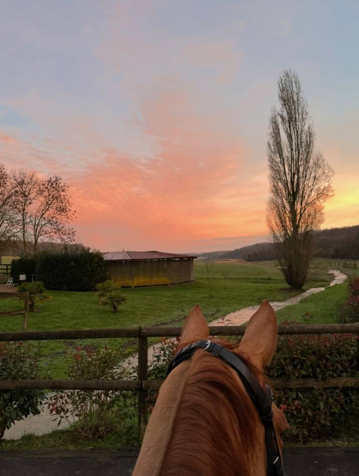 Pension Écuries des basses lisières