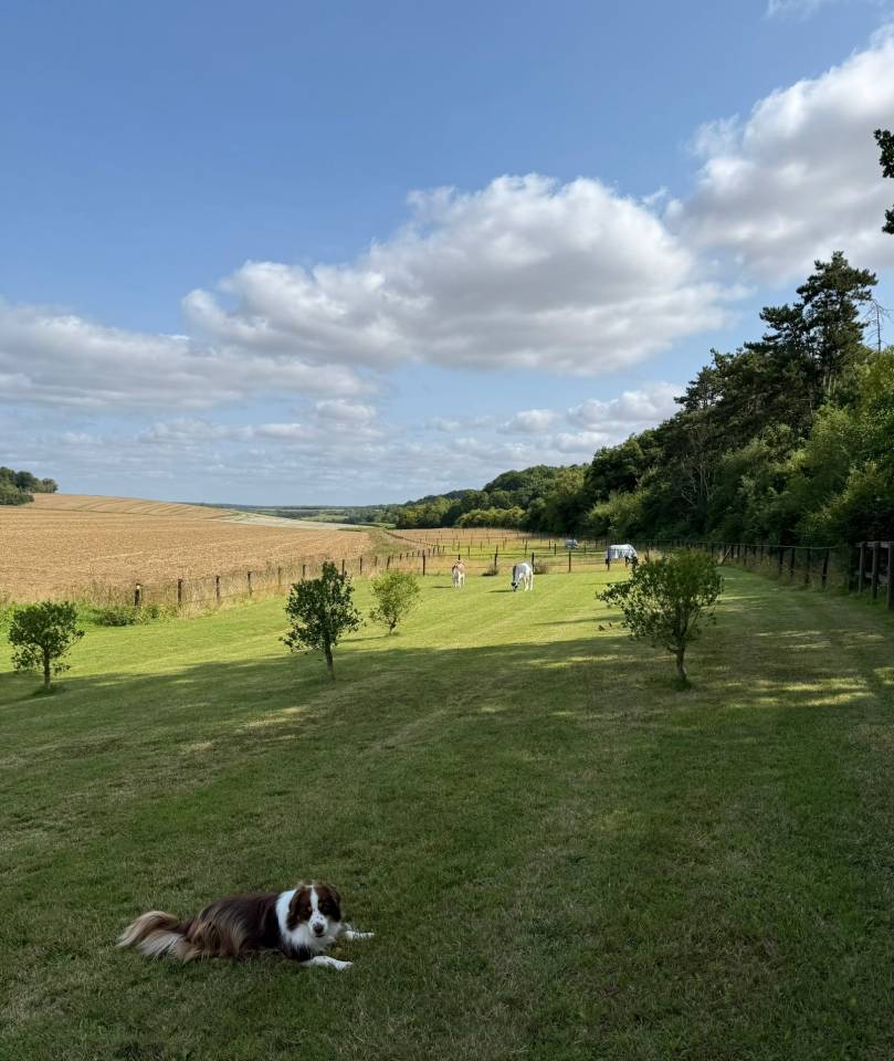 Pension Écuries des basses lisières