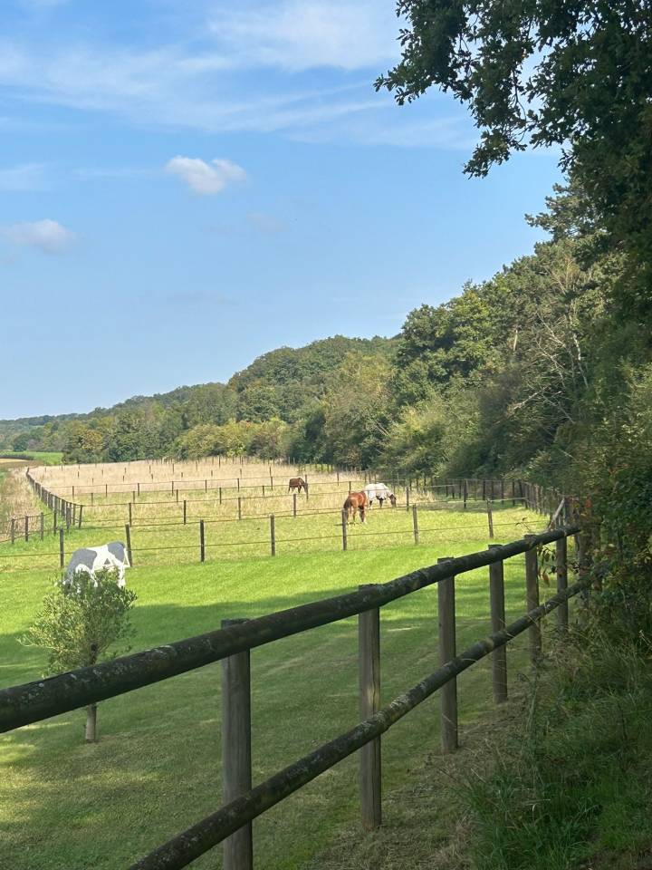 Pension Écuries des basses lisières