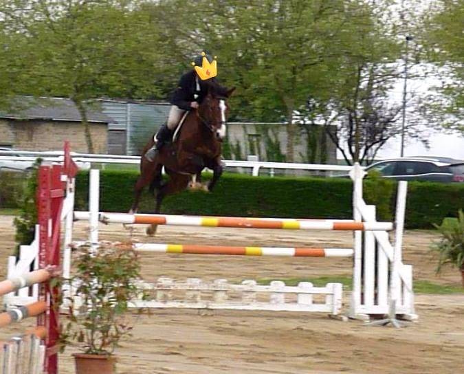 Jument poulini&egrave;re SF.A