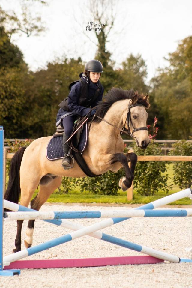 Fareneit  : sous le sapin