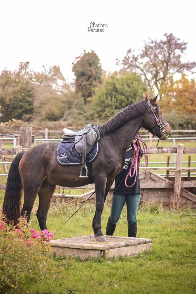 Loustic: sous le sapin