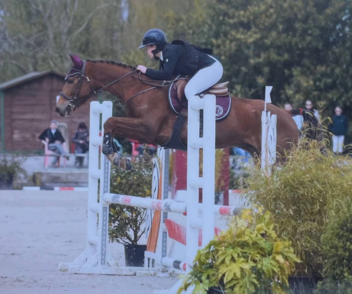 jackpot : sous le sapin