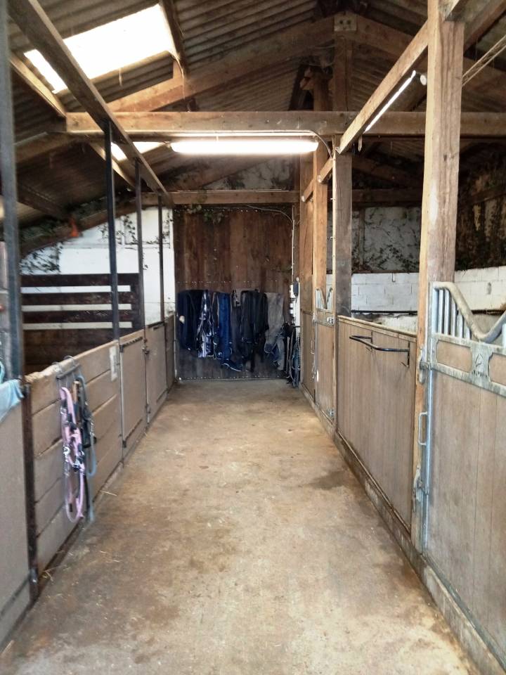 Pension box/paddock &ndash; Foin &agrave; volont&eacute; &ndash; Sorties 7j/7