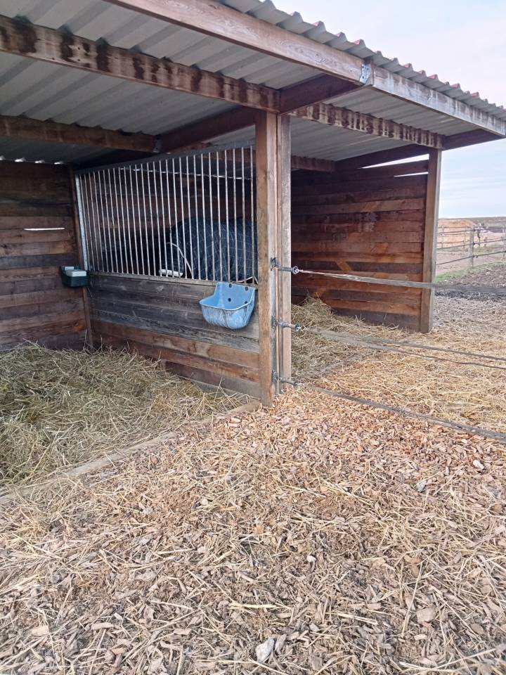 Pension box/paddock &ndash; Foin &agrave; volont&eacute; &ndash; Sorties 7j/7