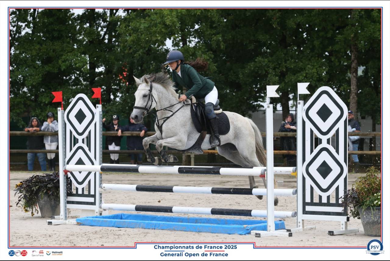 Double poney de Concours - 14 ans