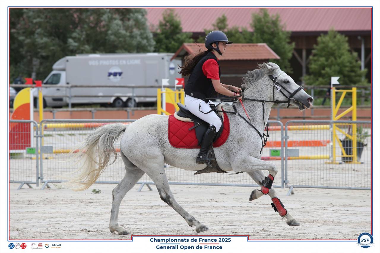 Double poney de Concours - 14 ans