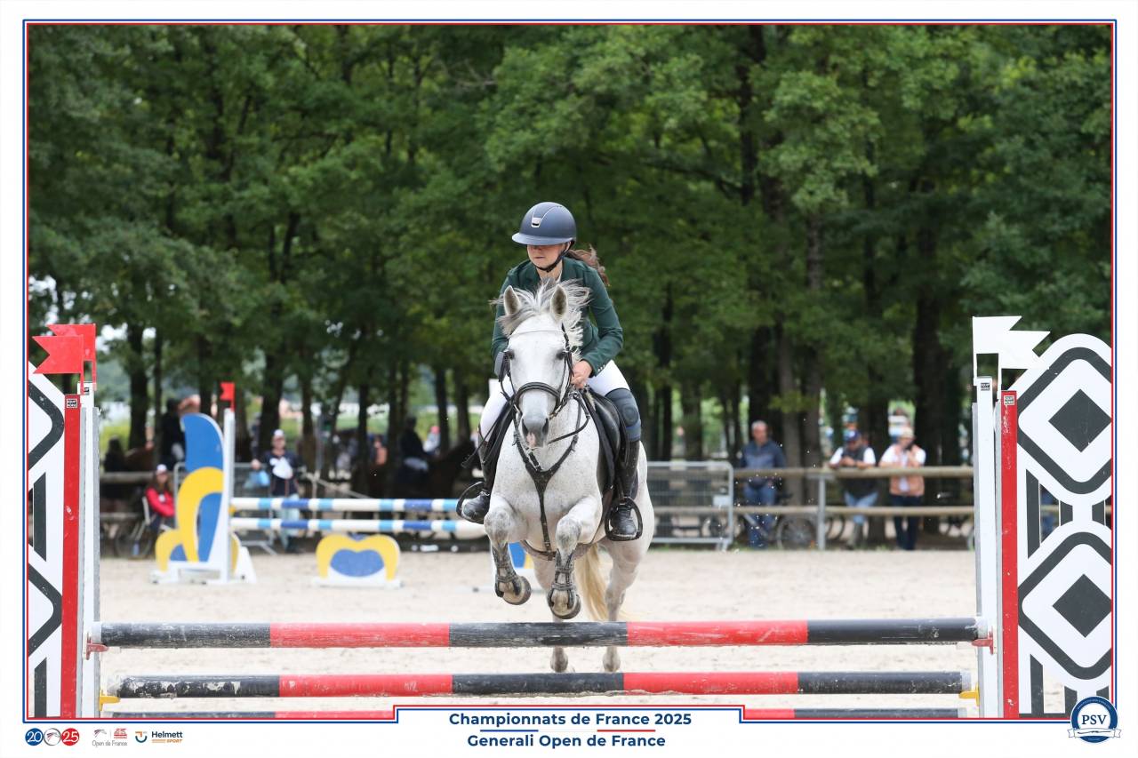 Double poney de Concours - 14 ans