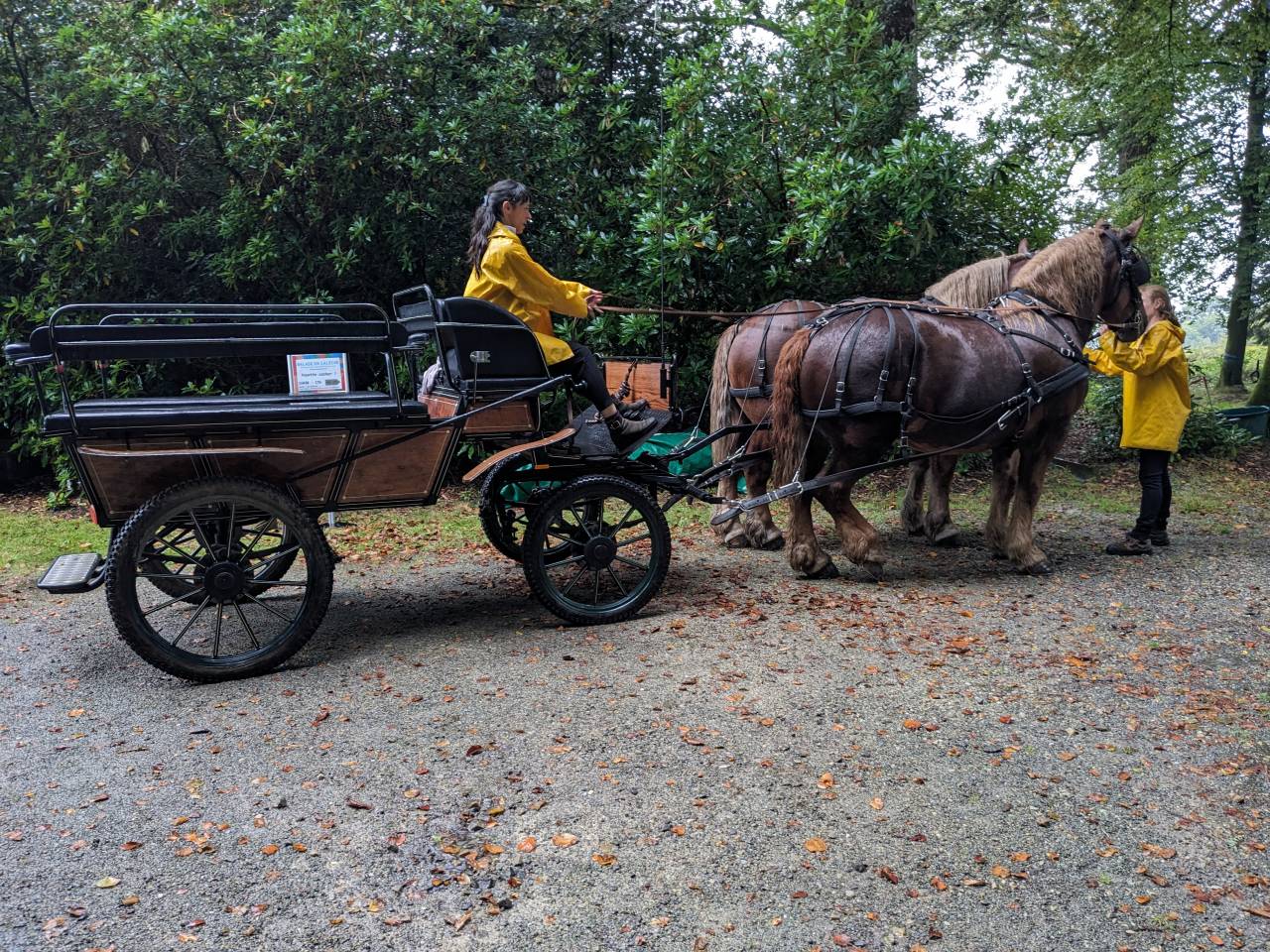 Wagonnette 6-8 places