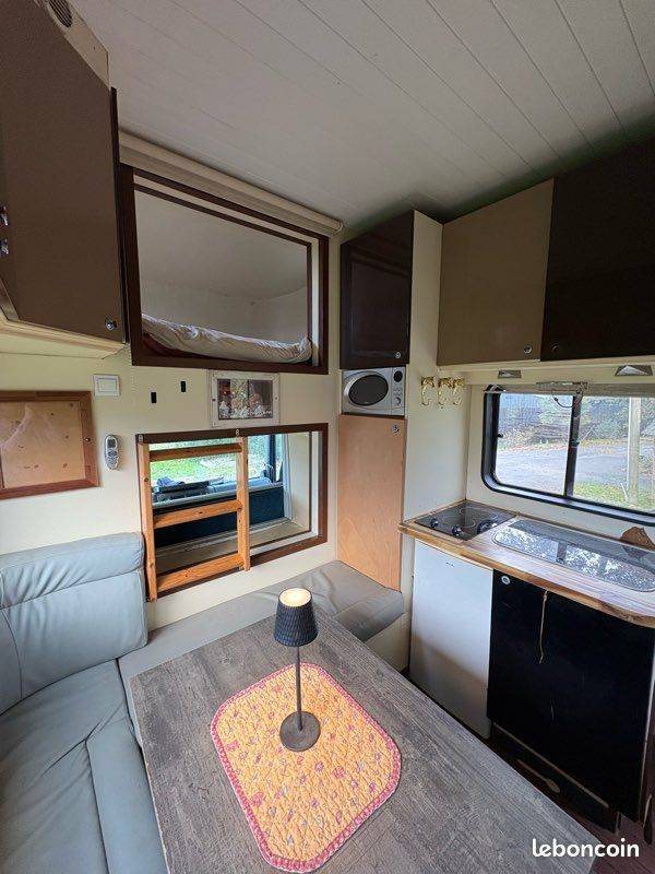 CAMION CHEVAUX PL DAF