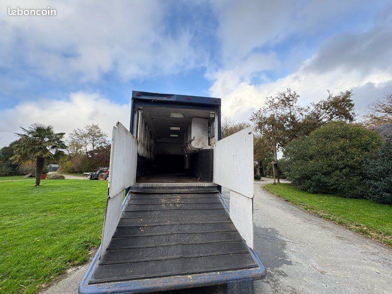 CAMION CHEVAUX PL DAF