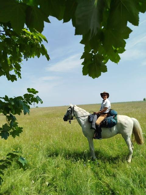 Titan Cheval de Loisir