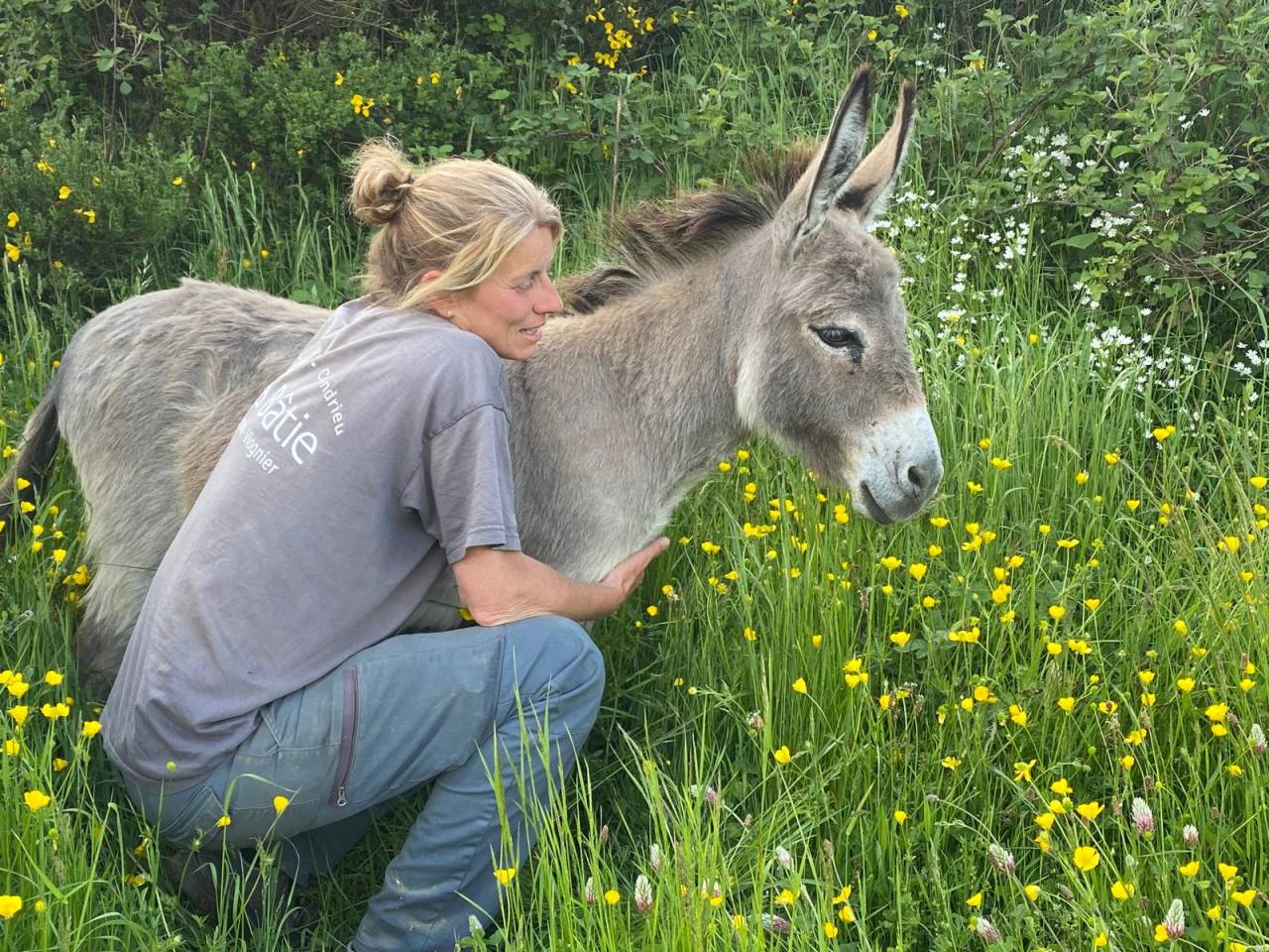 Ânes Sardes miniatures