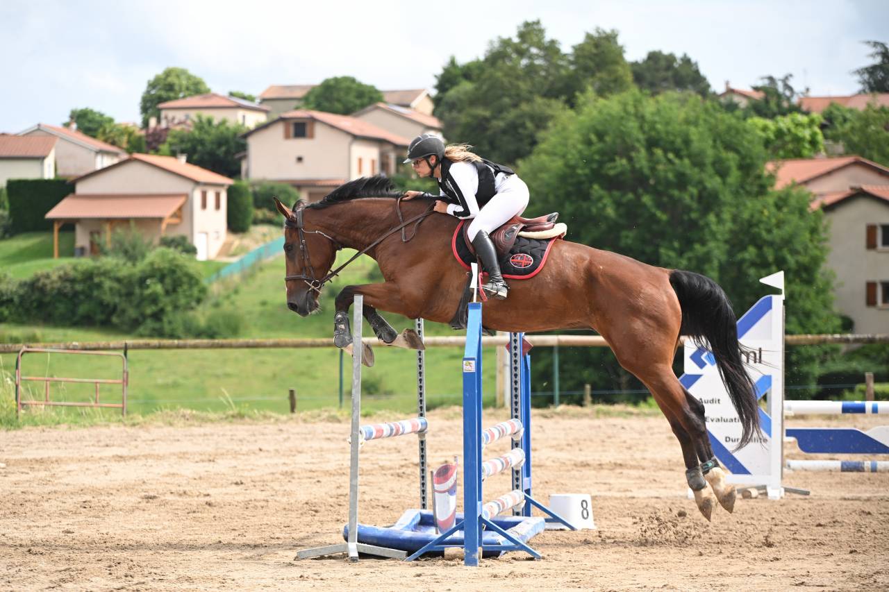 Cheval de Sport 7 ans 