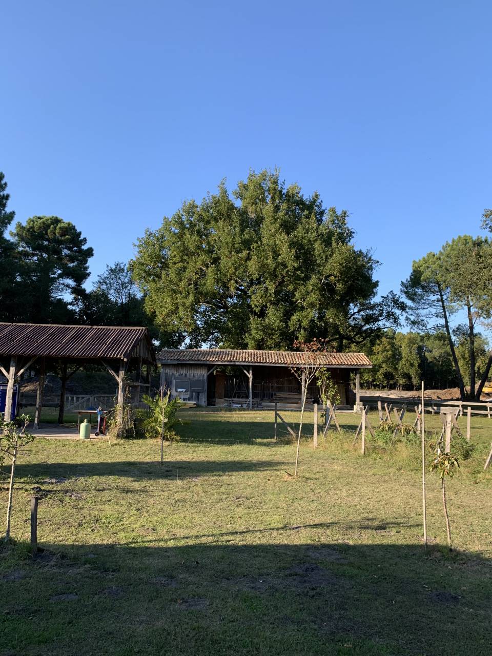 Propriété équestre 12 hectares Lanton Bassin d'Arcachon