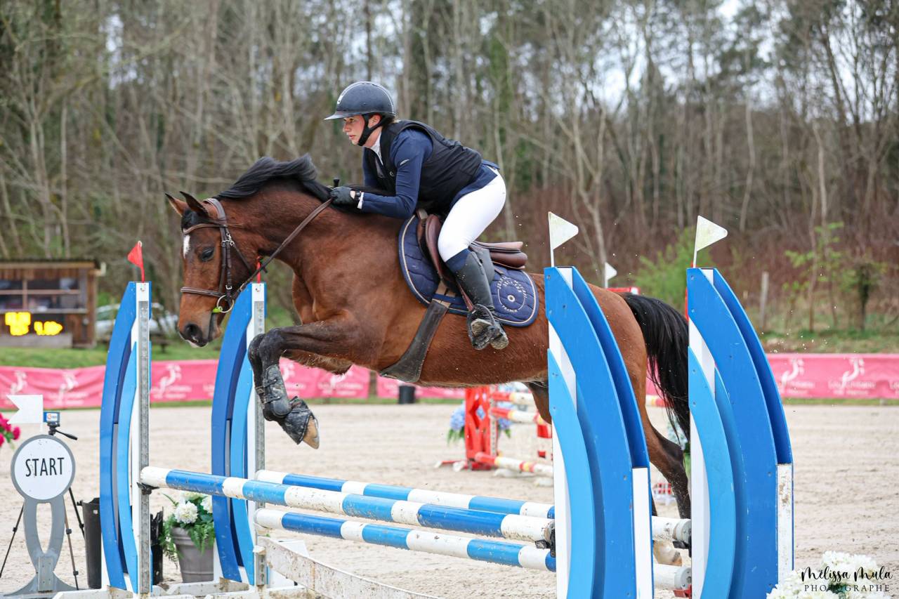 Soante - Hongre PSAr sport 2019