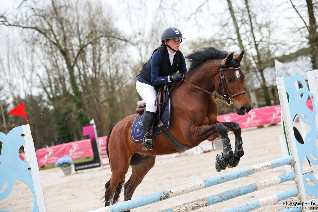 Soante - Hongre PSAr sport 2019