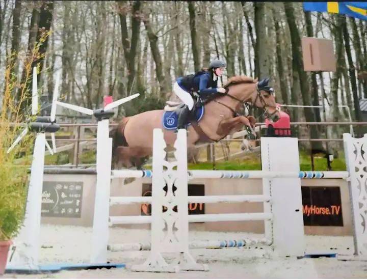 Monitrice/ Cavalière indépendant (29)