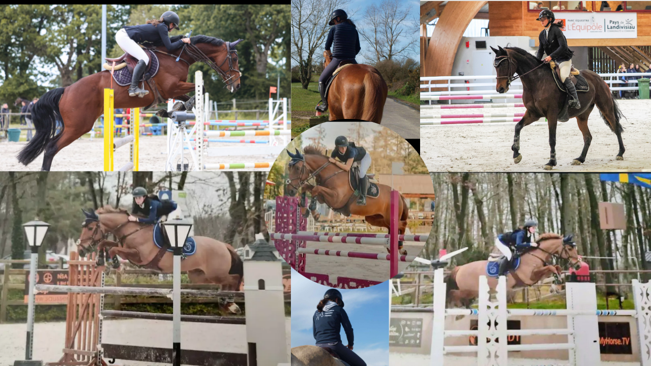 Monitrice/ Cavalière indépendant (29)