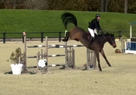 Top Jument 8 ans CSO