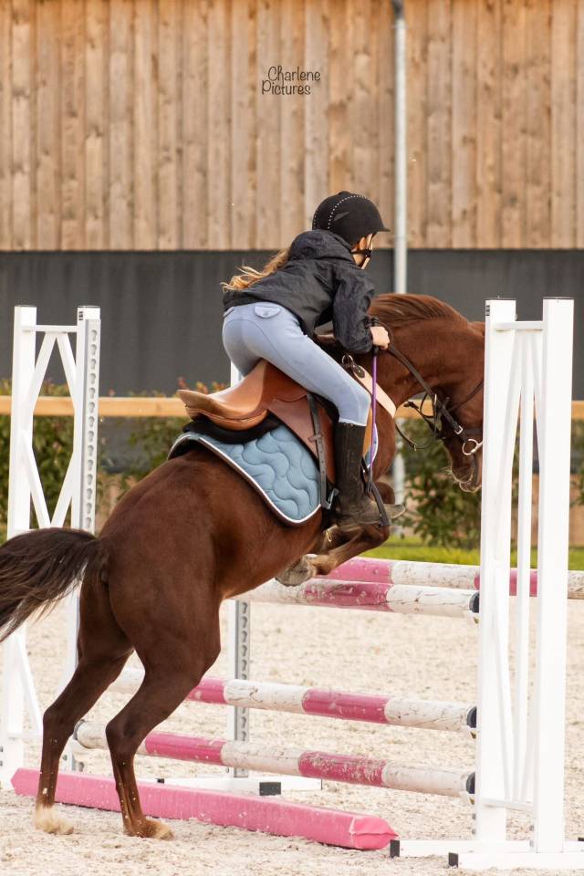 KENTUCKY : sous le sapin