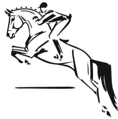 Palefrenier soigneur cavalier 