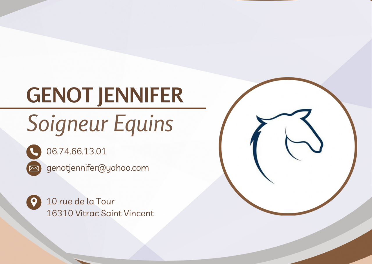 Palefrenier soigneur cavalier 