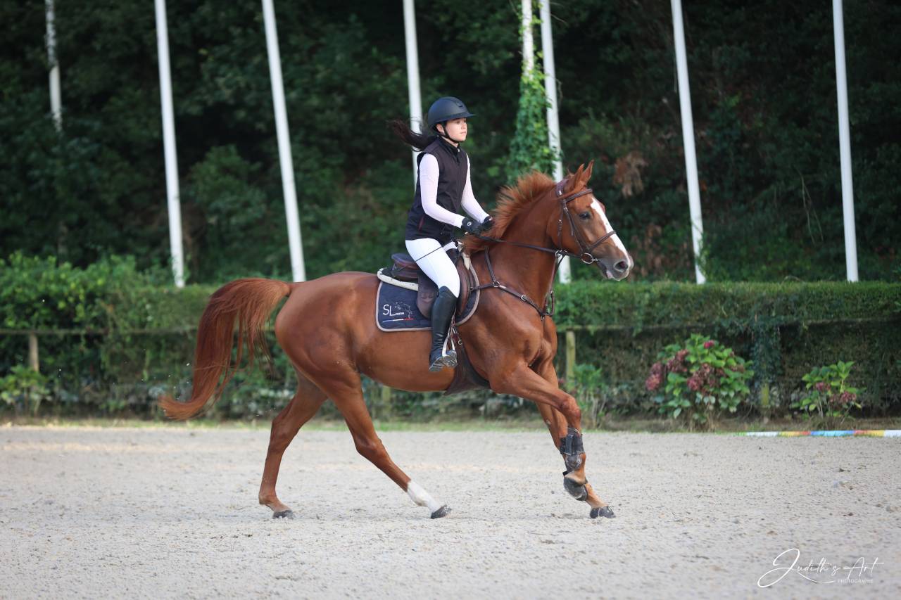 Jument 5 ans Chacco Rouge x Diamant