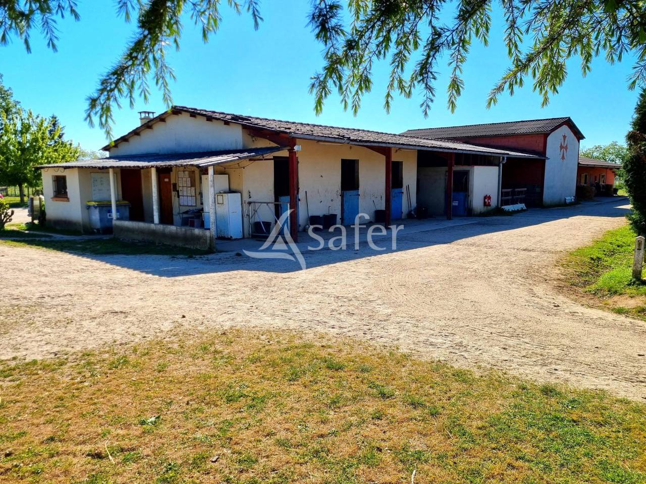 Joli Centre Equestre prêt à reprendre secteur Montauban