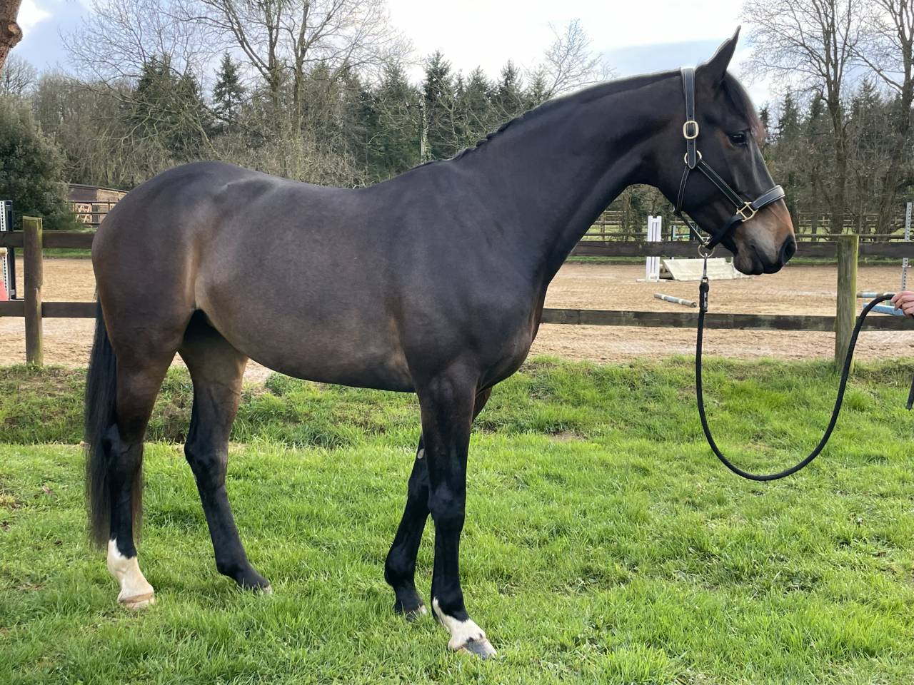 À vendre Kelle classe 