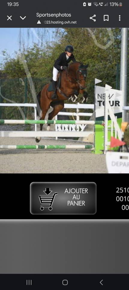 Cheval sf par kannan 14 ans 