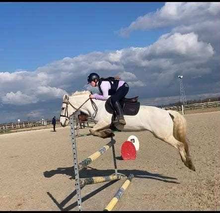 PETIT TONNERRE poulain de c&oelig;ur n&eacute; en 2025