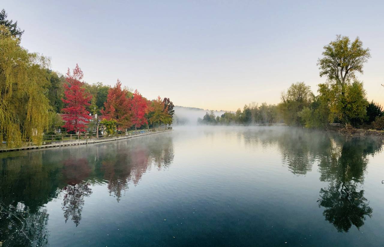 Pension chevaux retraite - Domaine D’’Agartha - 27190 LA BONNEVILLE SUR ITON