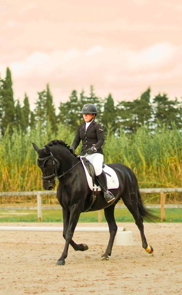 Pure race espagnol pp noir