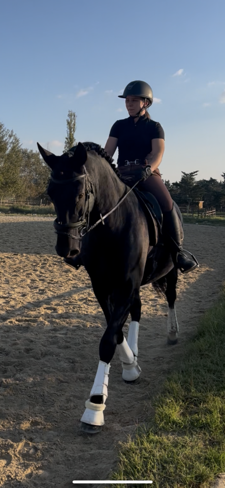 Pure race espagnol pp noir