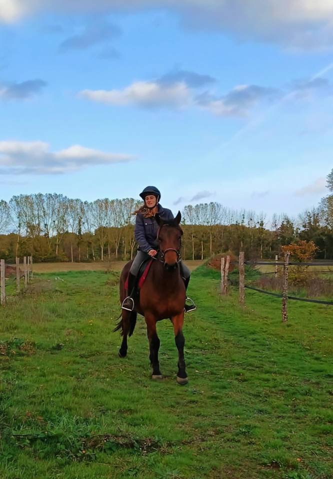 Trotteur français 6ans