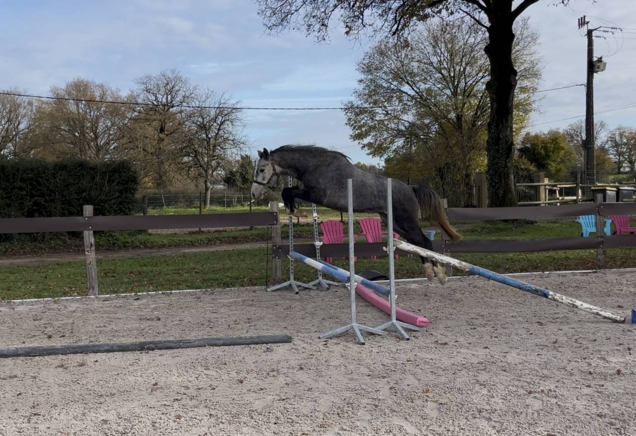 PFS - 3 ans - USSANDRO TILLIA DERLENN X ULK D&rsquo;&Eacute;T&Eacute; 