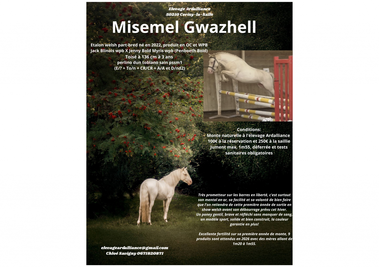 Ponette B 4 ans pleine