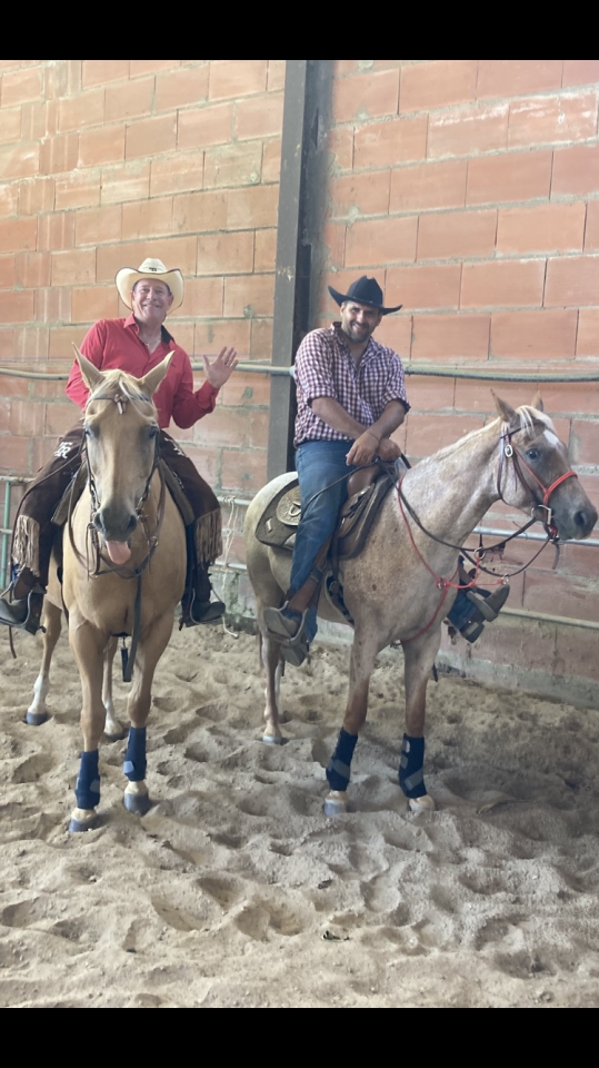 Hongre PALOMiNO QUARTERHORSE