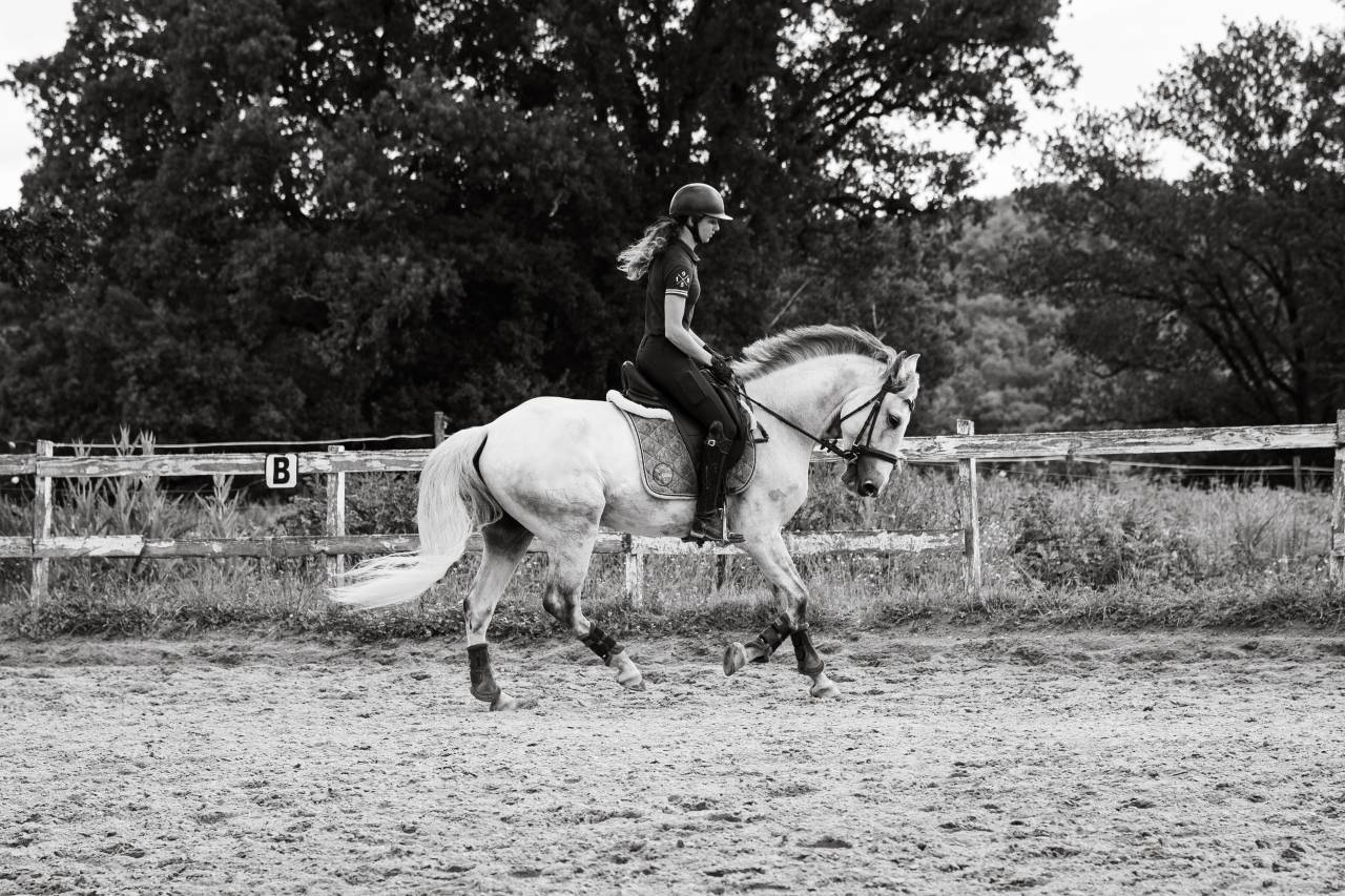 Lusitanien - loisirs - 