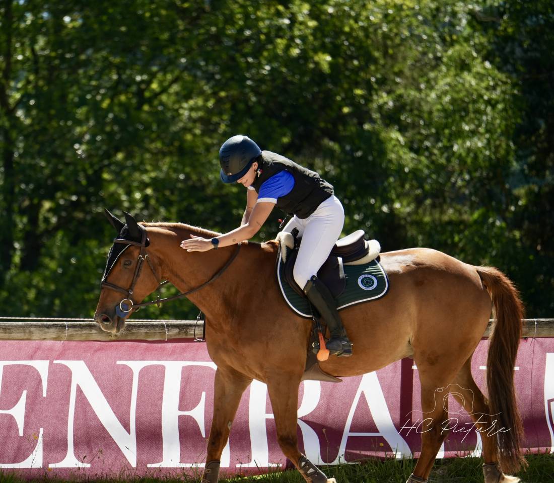 Location hongre CSO Amateur 1/élite