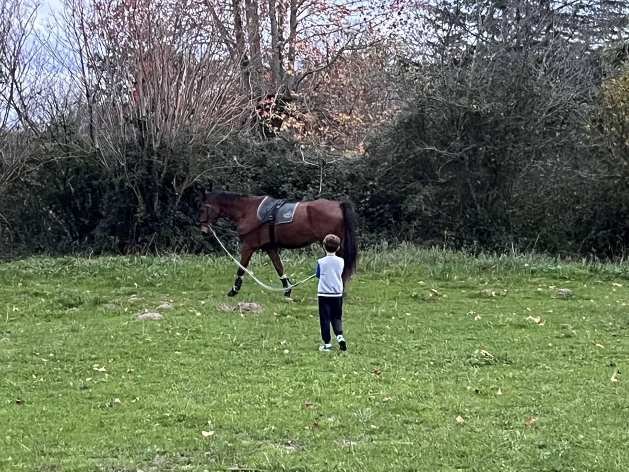 Pension box/pr&eacute; 15 min de Bayonne 