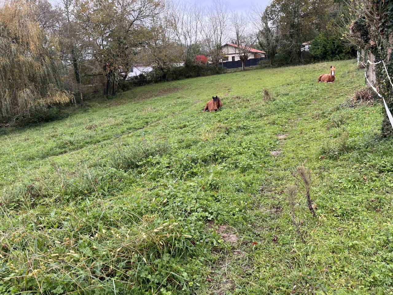 Pension box/pr&eacute; 15 min de Bayonne 