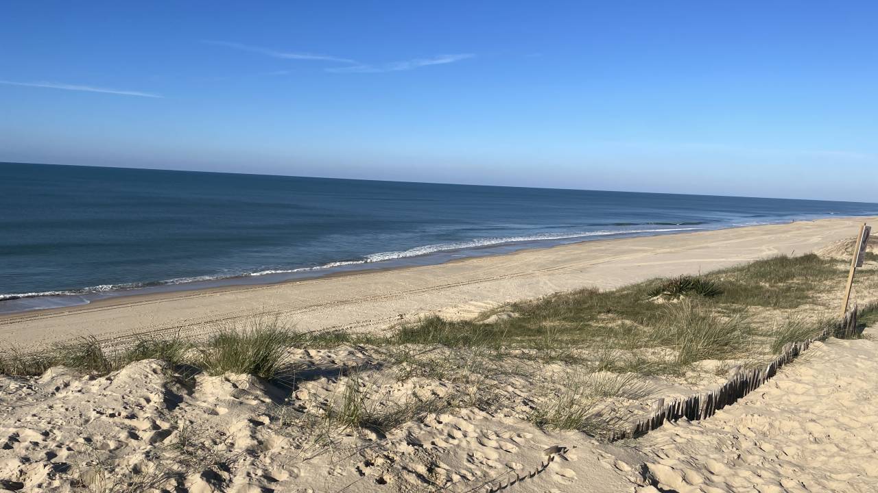 Maison dans la f&ocirc;ret proche oc&eacute;an 4 a 6 cavaliers