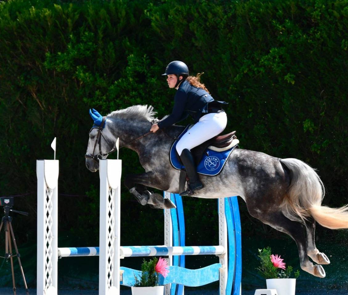 Lusitanien polyvalent, 9 ans